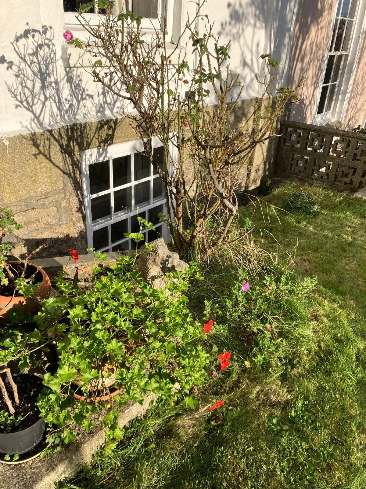 View of the flat from outside, showing the lower-level entrance