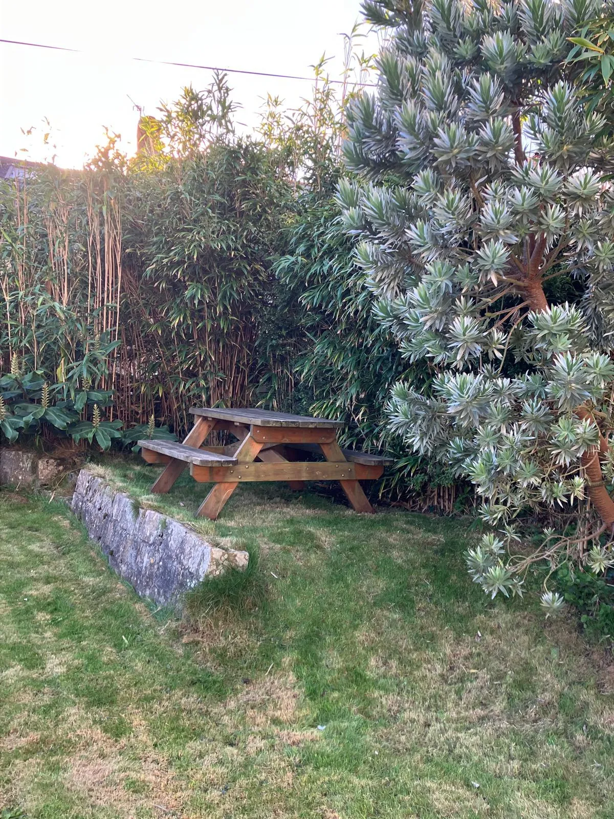 Garden bench on a frosty winter morning